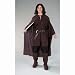 Lord of the Rings - Aragorn Costume (Men's Adult Regular Size)