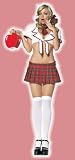 Ultra Sexy Leg Avenue Miss Prep School Girl Costume