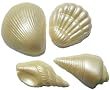 Chocolate Luster Seashells Varied Shapes -1 Dozen