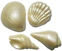 Chocolate Seashells Varied Shapes -1 Dozen Pearlized