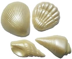 Chocolate Luster Seashells Varied Shapes -1 Dozen