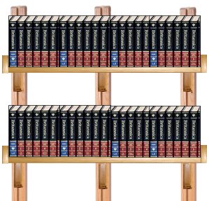 Adjustable Solid Oak Wall Mounting Bookshelf by Wooden You Shelving - 60