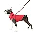 Gooby - Fleece Vest Hoodie, Small Dog Pull Over Hooded Fleece Jacket with Leash Ring, Red, Large