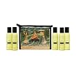 Kama Sutra Massage Therapy Kit, 1 kit