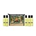 Kama Sutra Massage Therapy Kit, 1 kit
