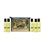 Kama Sutra Massage Therapy Kit, 1 kit