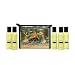 Personal Health Care : Kama Sutra Massage Therapy Kit, 1 kit