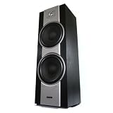 LTC SA-885F Floor Standing Hifi Speaker 2 x 10 Bass Drivers