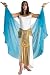 Cleopatra Premium Adult Costume