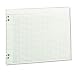 Wilson Jones Green Columnar Ruled Ledger Paper, Double Page Format, 24 Columns and 36 Lines per Page, 11 x 14 Inches, 100 Sheets per Pack (WG30-24A)