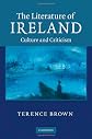 The Literature of Ireland: Culture and Criticism