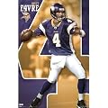 Minnesota Vikings - Brett Favre Poster Print, 22x34
