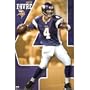 Minnesota Vikings - Brett Favre Poster Print, 22x34