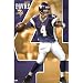 Minnesota Vikings - Brett Favre Poster Print, 22x34
