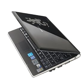 Samsung - NC10 Agn�s B - Netbook 10.2" - WSVGA - Intel Atom N270 - Lecteur carte - Webcam 1.3 Mpix - Wifi - Ethernet - RAM 1024 Mo - HDD 160 Go - Noir