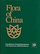 Flora of China  : text. 19  : Cucurbitaceae through Valerianaceae with Annonaceae and Berberidaceae