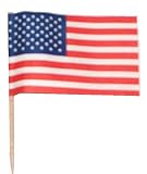 Flag Picks 30 pc