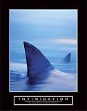 Intimidation - Sharks Art Print Poster By unknown, 22  x 28 