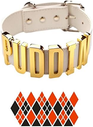 Fashion Women Choker Puddin Neck Golden Collar Necklace