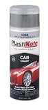 Plasti-Kote 1025 GM Light Slate Metallic Automotive Touch-Up Paint - 11 oz.