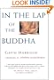 In the Lap of the Buddha