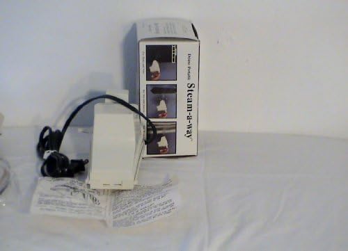 Delux Portable Steam Away