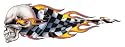 Pilot Automotive LT-00421 Checkered Skull Left Graphic Lethal Threat Decal