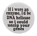 an enzyme DNA helicase I could unzip your genes 1.25