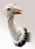 Folkmanis Ostrich Stage Puppet