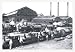 Trains Near Factories, Philadelphia, PA 20x30 poster