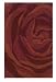 Trio With A Twist Area Rug - Large Rose