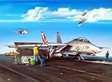 3201 1/32 F-14A Tomcat Fighter