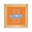 University of Illinois Trivet - Wall Hanging