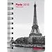 2010 Paris Pocket Deluxe Diary