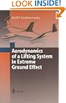 Aerodynamics of a Lifting System in E...