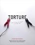 Torture: Does It Make Us Safer? Is It Ever OK?: A Human Rights Perspective