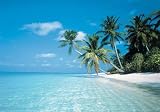 Posters: Beaches Poster - Maldives (34 x 24 inches)
