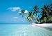 Posters: Beaches Poster - Maldives (34 x 24 inches)
