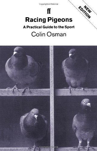 Racing Pigeons