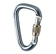 Black Diamond Mini Pearabiner Screwgate Carabiner