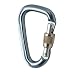 Black Diamond Mini Pearabiner Screwgate Carabiner