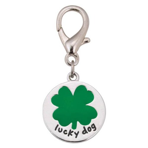Lucky Dog Irish Pet Collar Charm