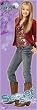Hannah Montana TV Show Door Poster
