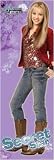 Hannah Montana TV Show Door Poster