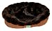 Happy Tails Cuddle Circle, Mink