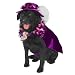 Big Daddy Dog Pimp Pet Costume