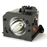Samsung RPTV replacement lamp