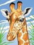 Giraffe Junior Paint By Number Kits 9"X12" JPBN-10310
