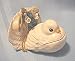 Fan Tailed Duck Trinket Box