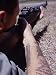 Close-Up of Member of Navy Emergency Ground Defense Force with M-1 Rifle in Guantanam...